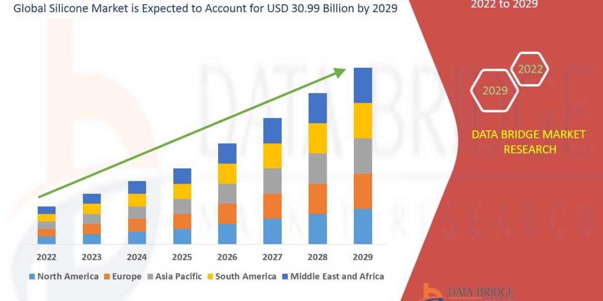 Silicone Market: Insights and Competitive Analysis