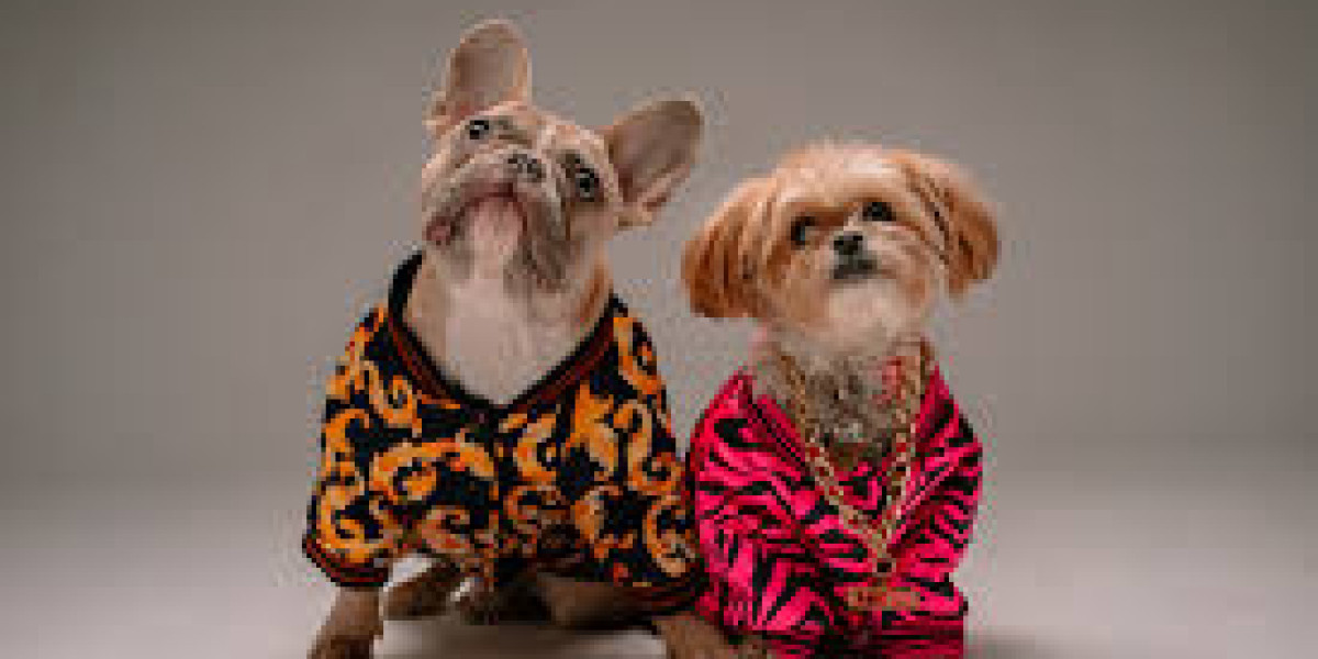 Essentials for First-Time Indoor Dog Parents
