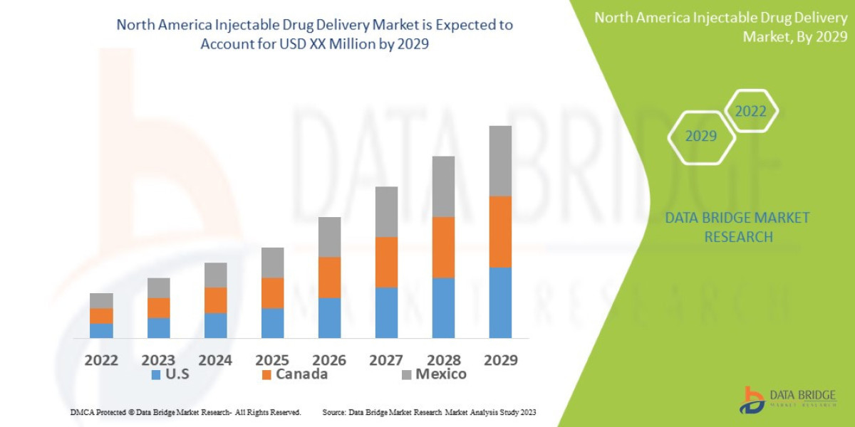 North America Injectable Drug Delivery Market  Size, Share, Trends, Growth Opportunities and Competitive Outlook