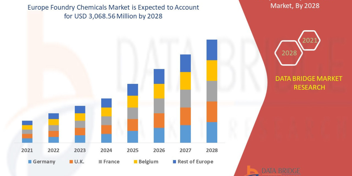 Europe Foundry Chemicals Market Size, Status and Outlook 2028