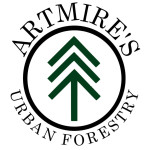 Artmires Forestry Profile Picture