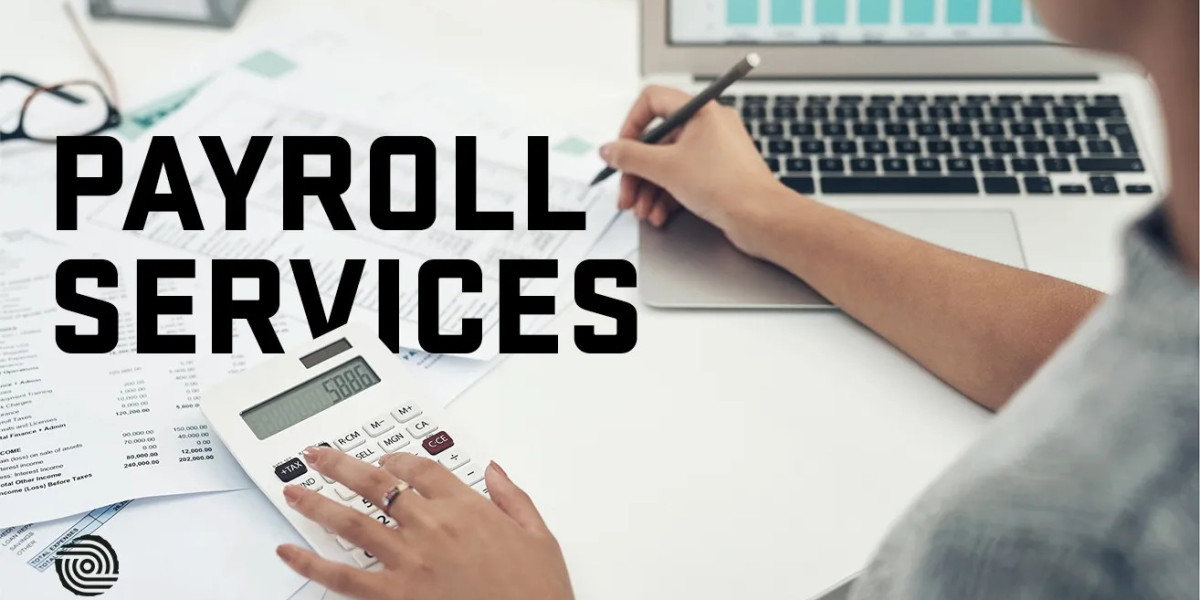 Why Small Businesses Should Consider Professional Payroll Services