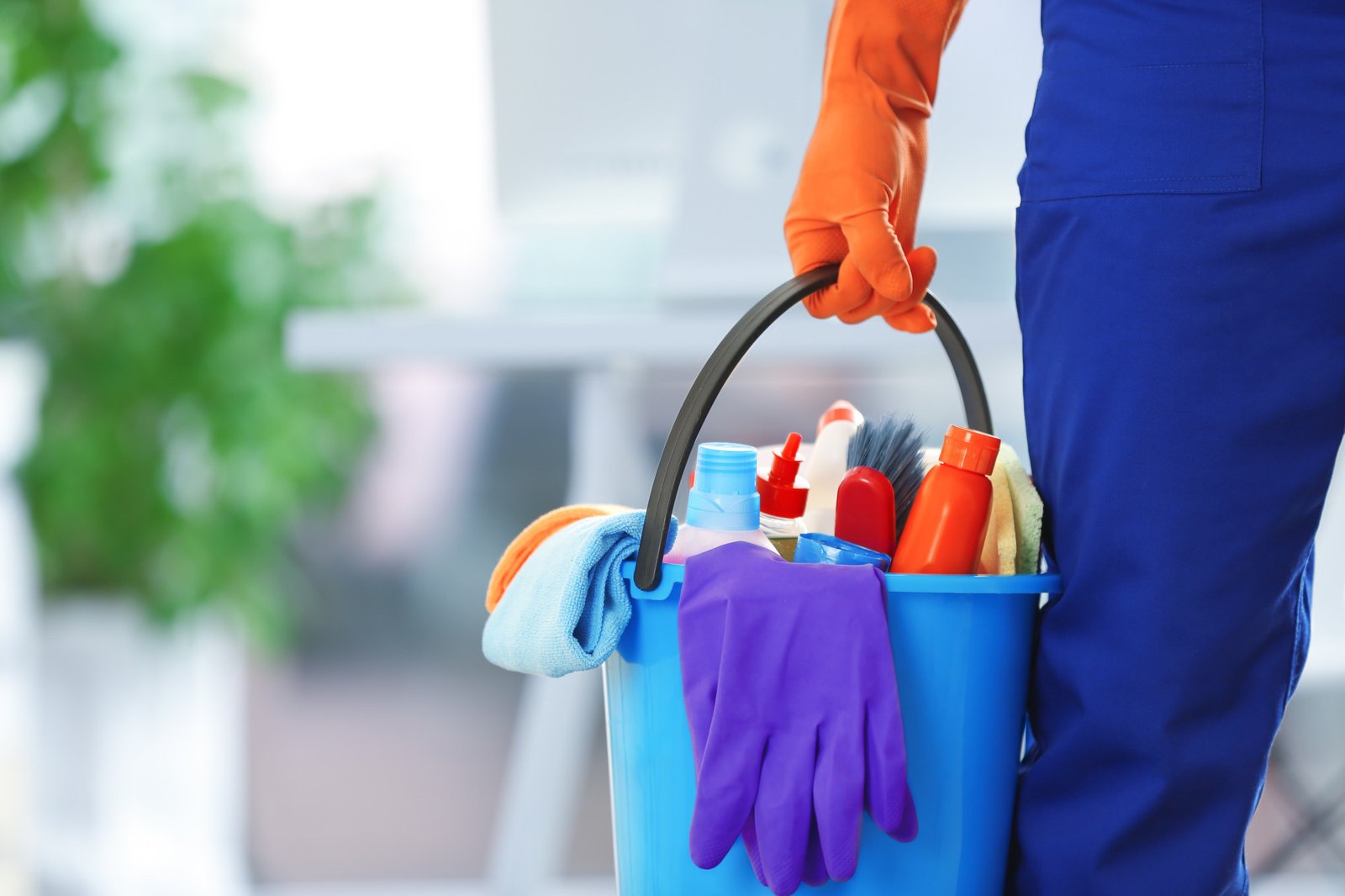 Robot Cleaner Vs. Professional Cleaner: Which One Suits You Best? - TechyWalls