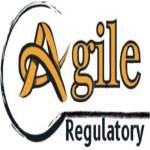 Agile Regulatory Profile Picture