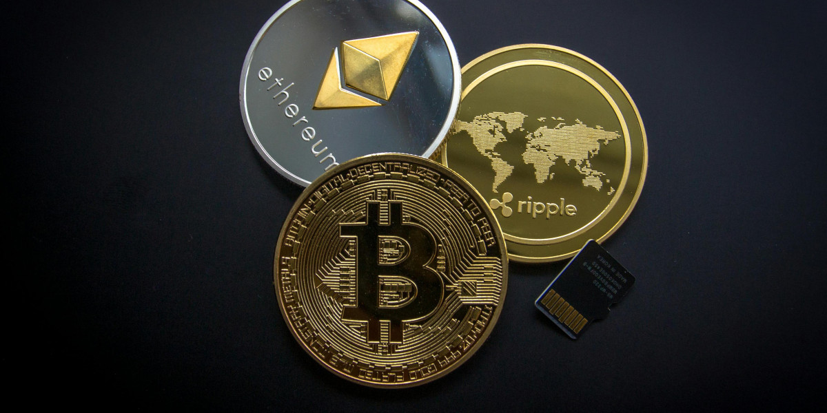 Meme Coins That Launched Through Fair Launch Without Private Investors