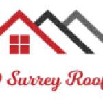 DD Surrey Roofing Profile Picture