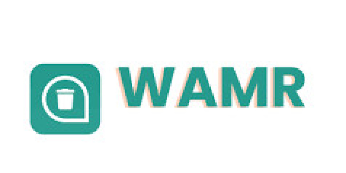 Effortless Chat Recovery with WAMR Pro